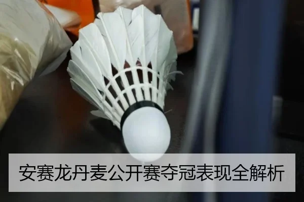 安赛龙丹麦公开赛夺冠表现全解析